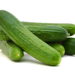 بذر خیار بوته ای