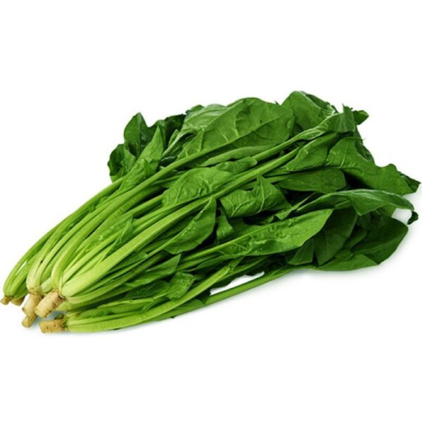بذر اسفناج