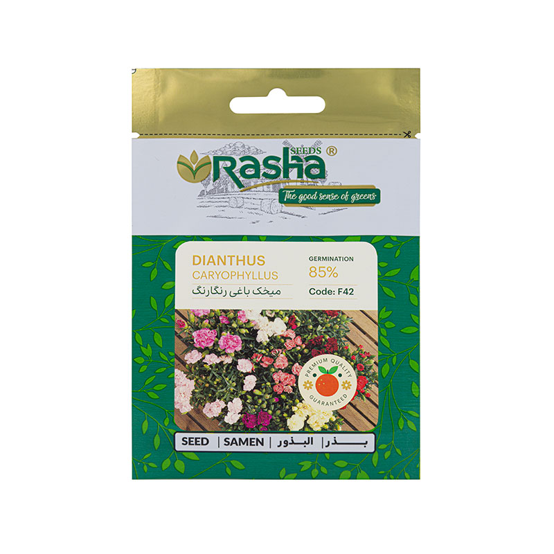 Dianthus-caryophyllus20 بذر گل میخک باغی