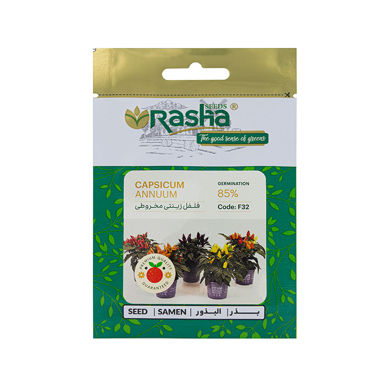 capsicum-20 بذر فلفل زینتی مخروطی